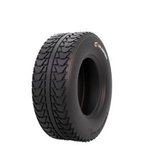 Goldspeed C-9211 SD 165/70-10