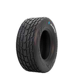 Goldspeed C-9205 FT 165/70-10